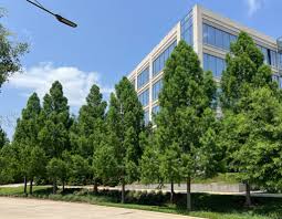 Image result for Autumn Gold Light 1983 Caloric