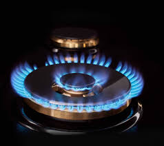 There's a professional lichtenberg fractal burner?? 48 Dual Fuel Pro Range With Sous Vide Signature Kitchen Suite