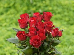You can usually find live wallpapers category on your phone when changing choose between: 50 Red Rose Wallpaper For Walls On Wallpapersafari