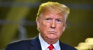Image result for moron trump