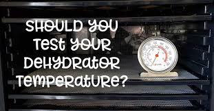 Test The Temperature On Your Dehydrator For Safe Dehydrating