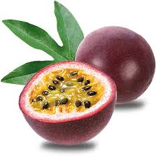 Download Annoying Orange Passion Fruit Download Fruit Passion Png Png Image With No Background Pngkey Com This high quality transparent png images is totally free on pngkit. download annoying orange passion fruit