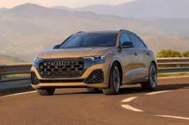 Image result for Vicuna Beige 2021 Q8