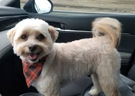 East Helena Pit Stop and Car Wash