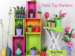 Pots And Planters Online In India Plant Pots For Sale Trustbasket Planter Pots Plant Pots For Sale House Plants Decor