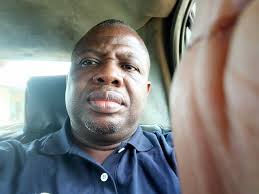 Did you know that there are specific words in English to describe animal  body parts? Check out this graphic to learn some of them! What other  animal-specific parts do you know in