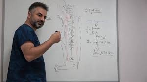 prof dr ahmet akgul damarlardaki tuzak sendromlari