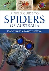 There are six subfamilies, of which linyphiinae. Meet The Families A Field Guide To Spiders Of Australia Csiroscope