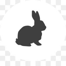 570 x 380 jpeg 8 кб. Easter Bunny Background Png Download 512 512 Free Transparent Hare Png Download Cleanpng Kisspng