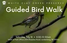 Guided Bird Walk