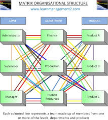 matrix organisational structure