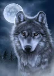 New Tattoo Wolf Indian The Moon Ideas 2020 Cilgin Disi Kedi Hayvan Cizimi Fantastik Yaratiklar