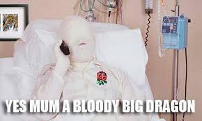 British people or british people be like is a series of memes making fun of british people and english accents and stereotypes. The Best Memes And Tweets From The Rugby World Cup So Far Wales Online