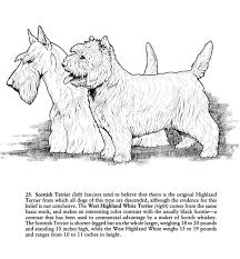 Jpg source use the download button to view the full image of scottish terrier coloring pages download, and download it to your computer. Welcome To Dover Publications Dog Coloring Book Dog Coloring Page Coloring Books