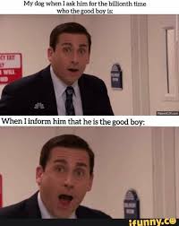 My Dog When I Ask Him For The Billionth Time Who The Good Boy Is When I Inform Him That He Is The Good Boy Y 1 3 Ifunny