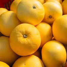 Image result for Grapefruit