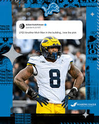 Detroit Lions (@detroitlionsnfl) • Instagram photos and videos