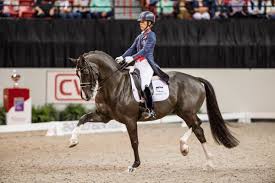 We also have several competition horses in training with elite dressage riders. What S In Your Toolbox Expert How To For English Riders