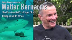 The Rise and Fall of Tiger Shark Diving in South Africa