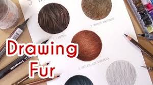 Do you have any books out on how to use colored pencils to draw fur on animals or to draw or any videos or dvds thanks have a blessed day. 5 Methods To Draw Realistic Fur Coloured Pencil Drawing Tutorial Episode 4 Youtube