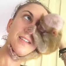 142953699_422886582249845_5176827581600767781_n