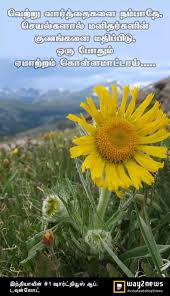 Birthday Wishes For Manager In Tamil Pin By Lavanya On A Tamil Quotes Truth Quotes Plants