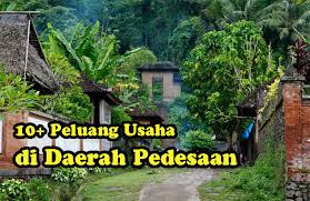 Safe loans with meaningful impact. 10 Peluang Usaha Di Daerah Pedesaan Yang Menjanjikan Prospek Bagus