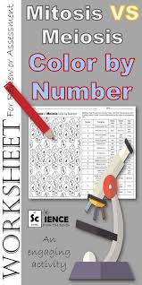Mitosis Vs Meiosis Color By Number Worksheet For Review Or Assessment Biology Lessons Biology Classroom Science Cells