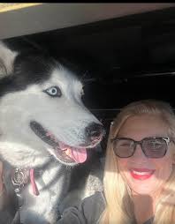 FOUND!!!*** My son's sweet puppy got out today is missing, she answers to  Bella. If anyone sees her please message me or my son Tanner Phillips. (In  Stephenville)