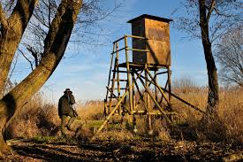 Im normalfall ist entweder das bundesverfassungsgericht oder die verfassungsgerichte der einzelnen bundesländer. Niedersachsen Jagd Und Corona Diese Bestimmungen Gelten Wild Und Hund