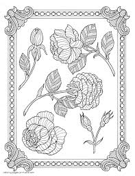 You will be able to print every picture in portrait or album orientation. Coloring Pictures Of Flowers For Adults Coloring Pages Printable Com