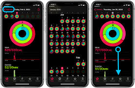 It is not possible to have both a steps bonus from health and a calorie bonus from the apple watch at the same time. Apple Watch How To See Your Workout History And Trends 9to5mac