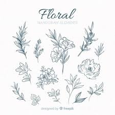 File format available eps, ai, photoshop brush & png. Hand Drawn Flowers Images Free Vectors Stock Photos Psd