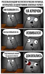 комиксы леди баг и супер кот на русском вк Prikolnye Kartinki Podborka Yumora I Shutok Ot Stendap Kota Original Memes School Memes Russian Jokes