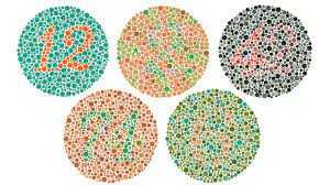 What does colorfulness look like? Being A Color Blind Designer How Discovering My Red Green Color By Derek Torsani Medium