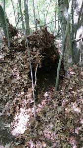 Trekkinn, the online shop where to buy outdoor clothing and trekking gear. Leaf And Stick Fort 4 Steps Instructables