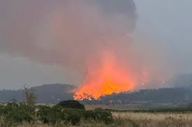 France's largest wildfire in decades leaves a trail of devastation | Stuff