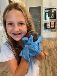 🐝 It was our darling bumbles 🐝 turn to come