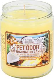 This fruity dog candle by pet odor exterminator is super cheery and will brighten up your home by reducing pet odors. Pet Odor Exterminator Pineapple Coconut Deodorizing Candle 13 Oz Jar Chewy Com