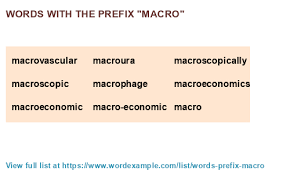 Definition of prefix (entry 2 of 3). Words With The Prefix Macro 472 Results