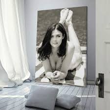 Lynda Carter Sexy Actress Poster (14) Room Aesthetic Poster Print Art Wall  Painting Canvas Posters Gifts Modern Bedroom Decor 20x30inch(50x75cm) : ...