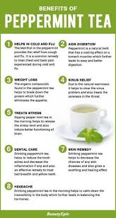 12 Amazing Health Benefits Of Drinking Peppermint Tea Peppermint Tea Benefits Peppermint Tea Coconut Health Benefits