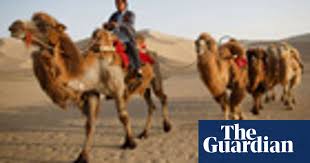 You might think that android 10 lacking a dessert name is due to google having a hard time finding a sweet starting with q, but that's not the case. China S Gobi Desert And The Oasis Of Crescent Lake In Pictures Travel The Guardian