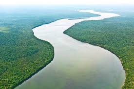 A plan before brazil's house of representatives calling for the division of the state of amazonas could have a significant impact on the indigenous peoples . Amazonasbecken Brasilien Franks Travelbox