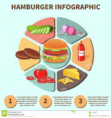 Hamburger Sandwich Infographic Stock Vector Illustration