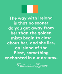 This is a place to post your offensive memes. St Patrick S Day Quotes Memes Captions And More Real Simple