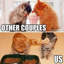 My Partner With The Ice Cream Funny Animal Photos Cute Animal Memes Funny Animal Memes