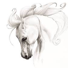 Black And White Drawing Images Of Animals White Horse Print Black White Horse Decor Horse Portrait Etsy Horse Art Drawing Animal Drawings Horse Print