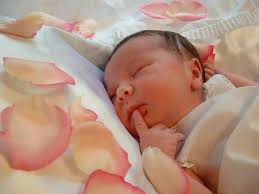 DawningLife Midwifery And Wellness