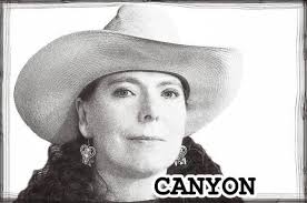 Open mic in Gallatin